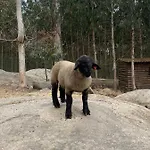 Quintinha Silvestre Farm stay