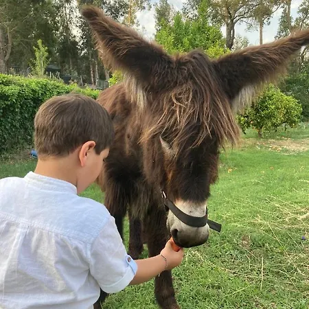 مزرعة للإقامة Quintinha Silvestre *