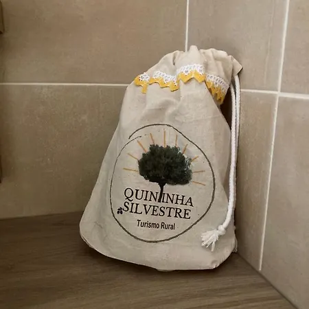 Quintinha Silvestre בית חווה *