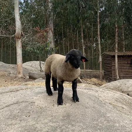 Quintinha Silvestre Farm stay