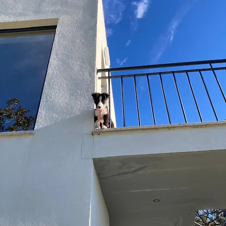 مزرعة للإقامة Quintinha Silvestre