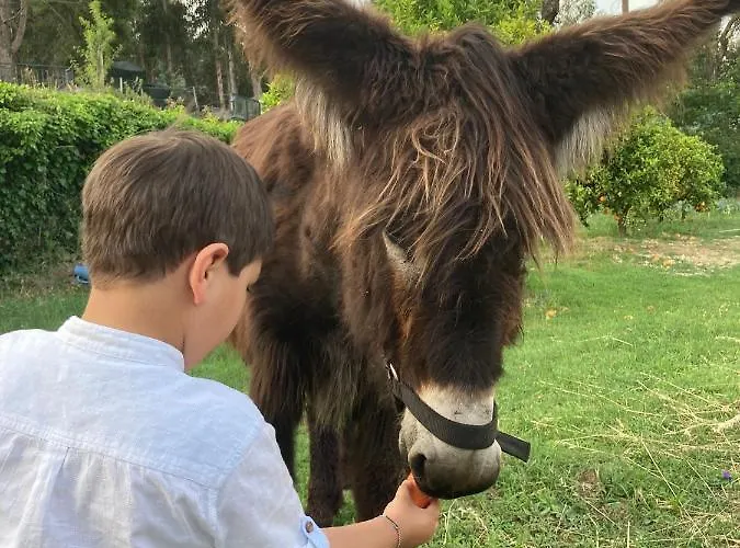 Farm stay Quintinha Silvestre *