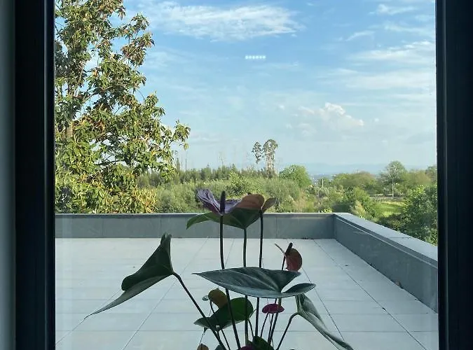 Alojamento de Turismo Rural Quintinha Silvestre *