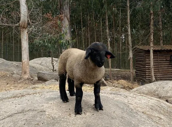 Quintinha Silvestre Alojamento de Turismo Rural