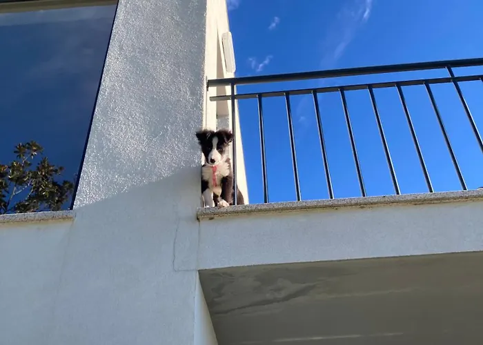 Séjour à la ferme Quintinha Silvestre